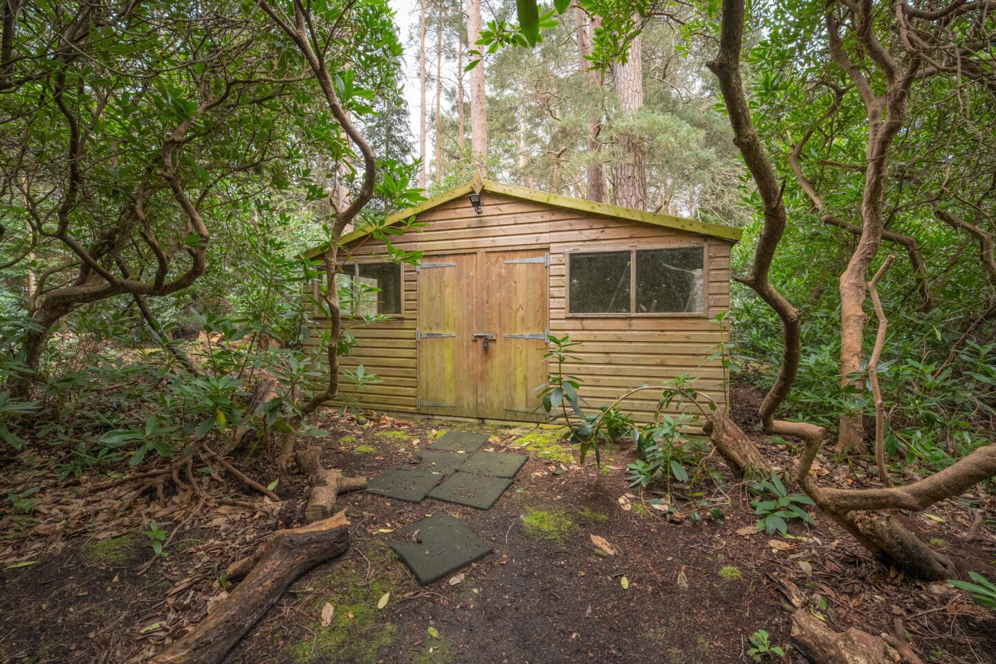 Woodend Drive, Ascot Osborne Heath