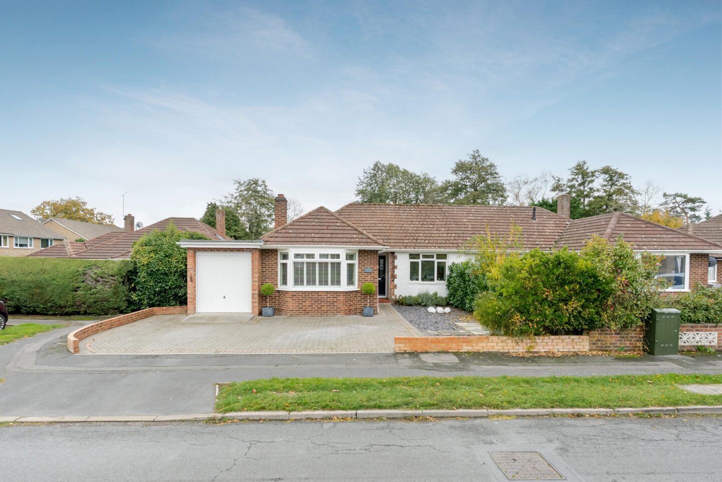 Blackmoor Wood, Ascot